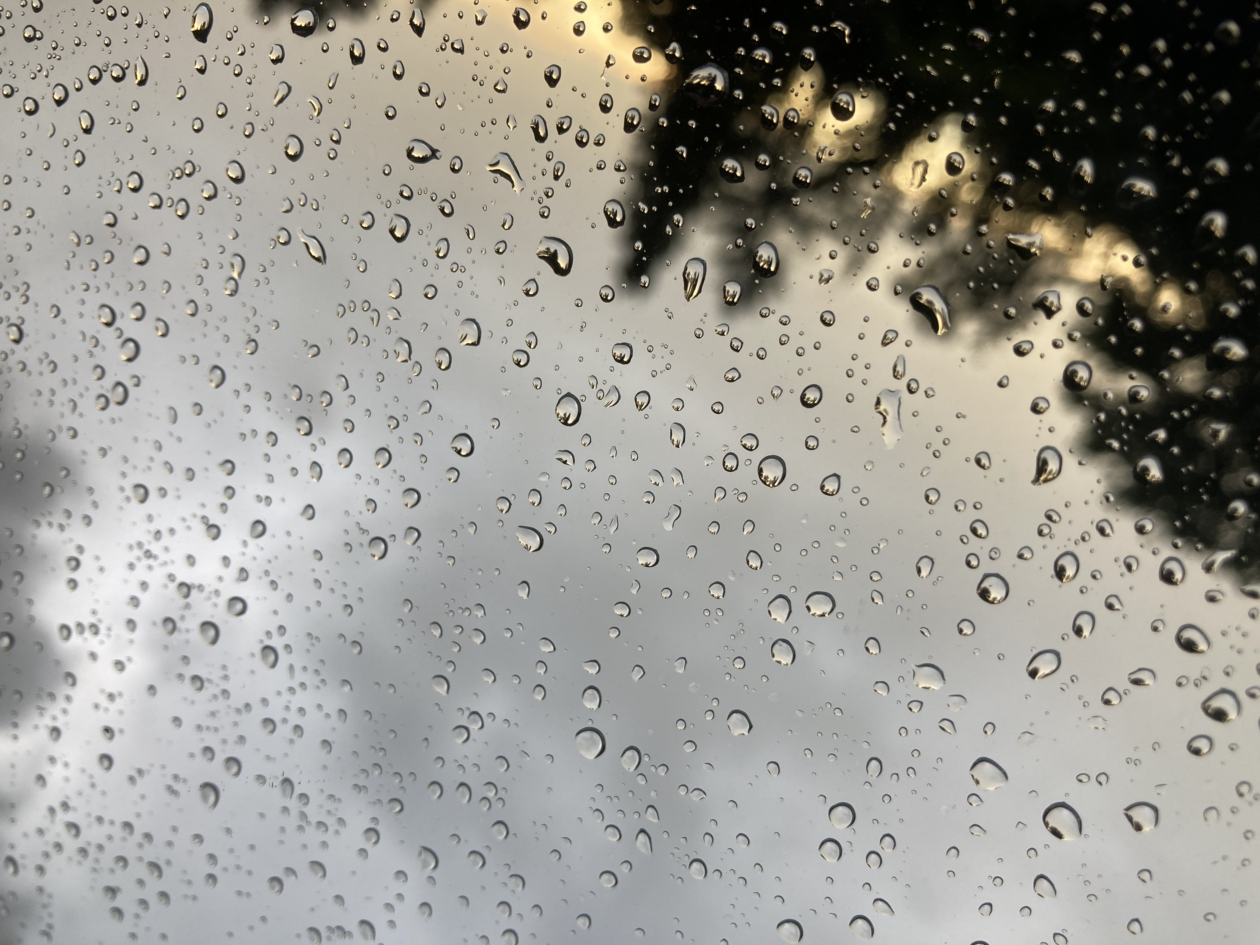 Hintergrund_DanielKuefner